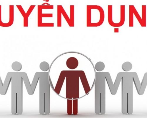 TUYỂN DỤNG NHÂN VIÊN KẾ TOÁN NỘI BỘ