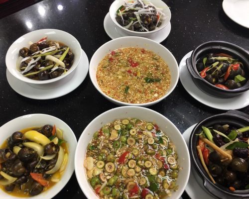 🌿🌷BẠN CÓ MUỐN MỞ MỘT QUÁN ỐC NHỎ KINH DOANH?